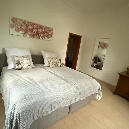 Appartement Komfortables 3 In Dresden