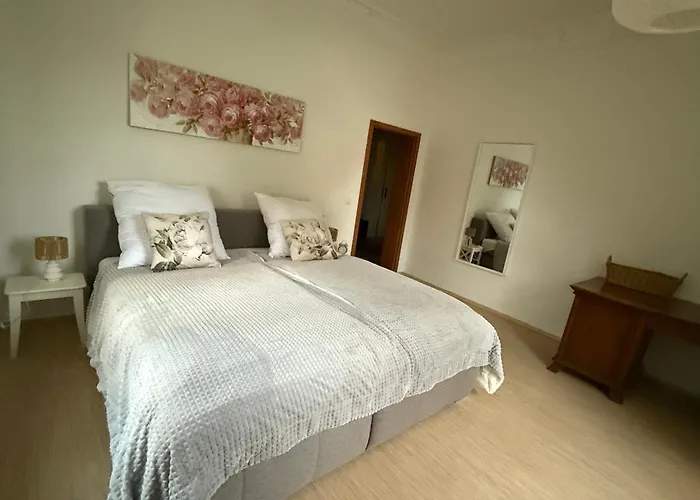 Apartment Komfortables 3 In Dresden